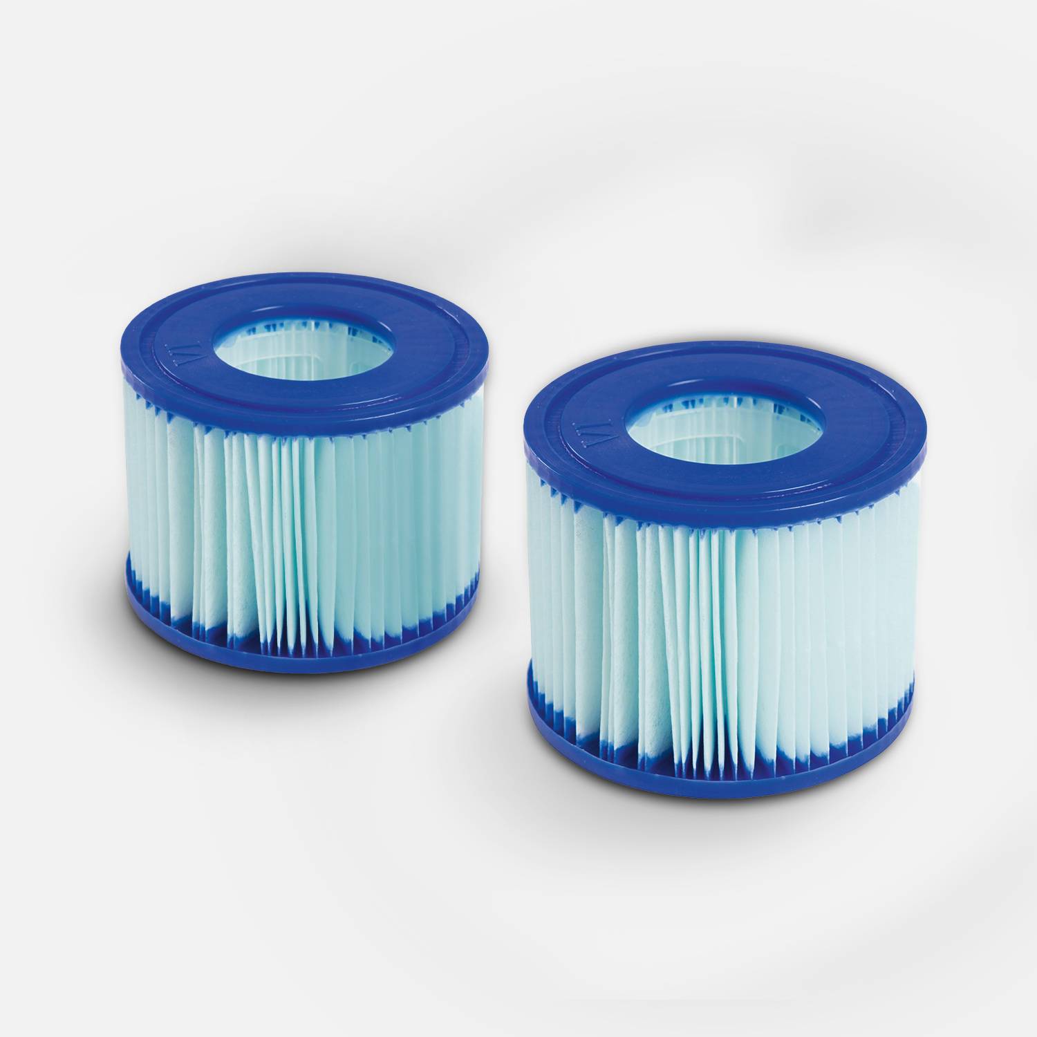 Lot de 2 filtres antimicrobiens LAY-Z SPA pour spas gonflables – compatible avec SPA Milan – 2 cartouches filtrantes de remplacement pour spa gonflable LAY-Z SPA Photo2