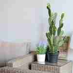 Künstliche Pflanze, Kaktus, 72cm Moos Photo3