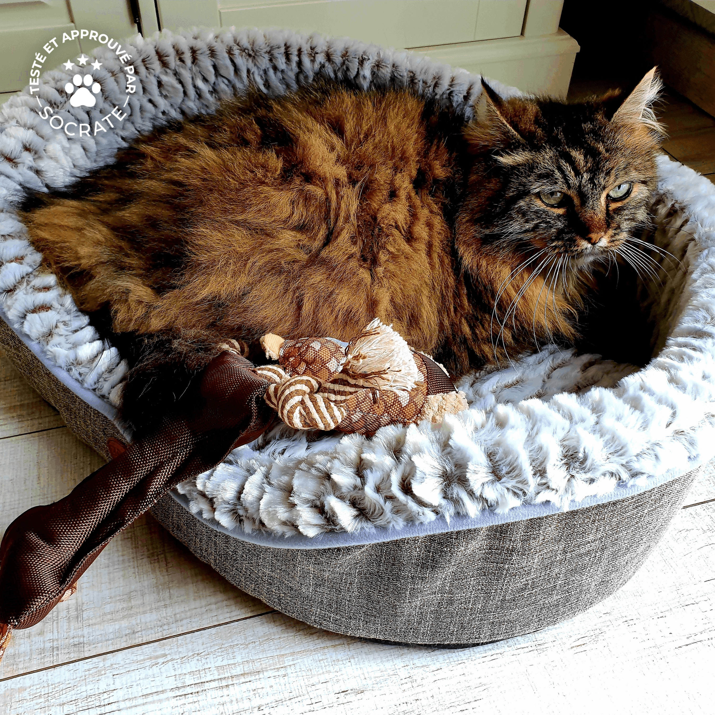 Zacht, omkeerbaar en comfortabel grijs mandje linnenlook, voor kleine honden en katten, maat S Photo1